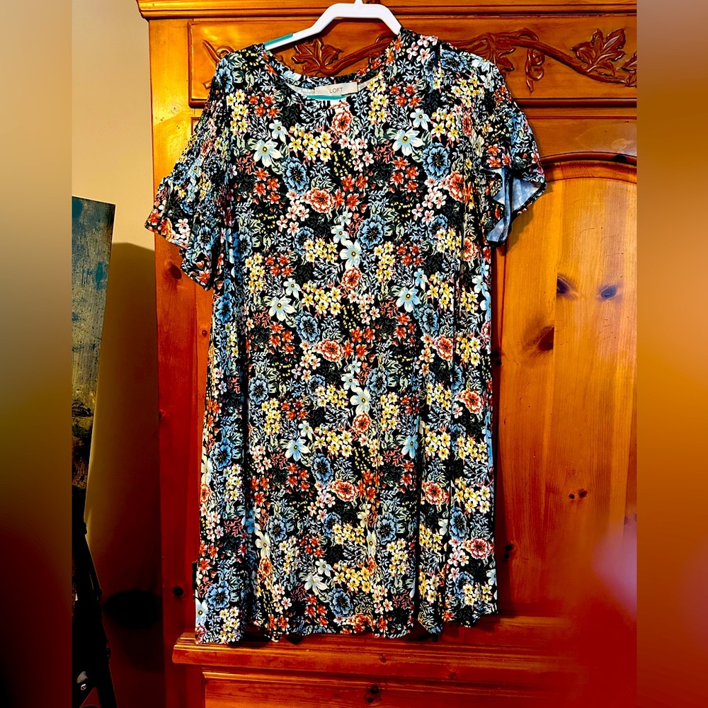 Loft floral dress. Hit right above knee